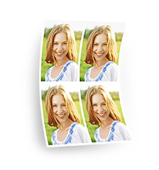 wallet size photos order